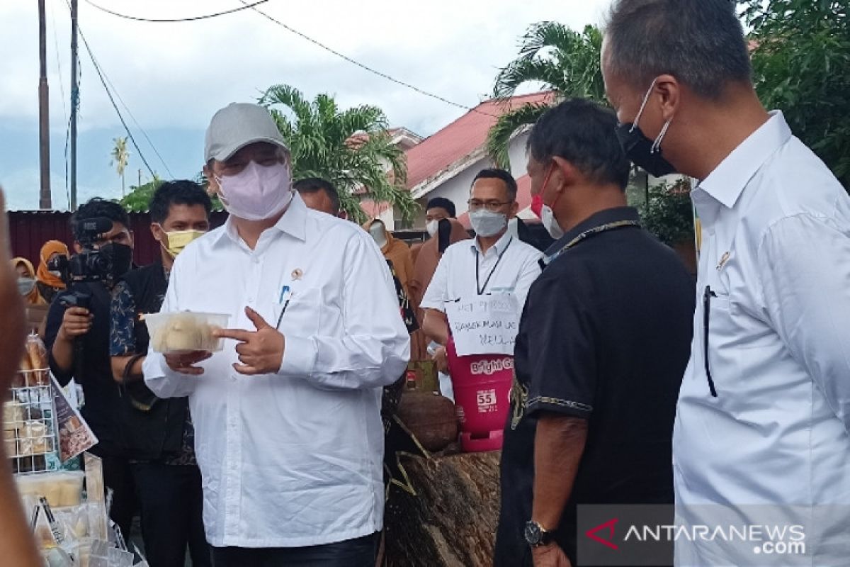 Menko Perekonomian sebut Kampung Tangguh di Palu perlu dicontoh