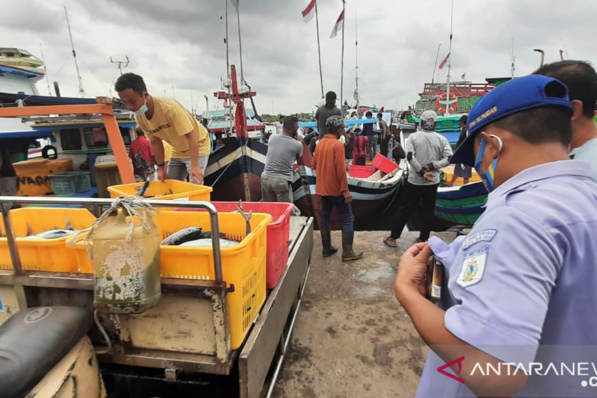 Produksi cumi-cumi di PPN Tanjung Pandan capai 157 ton