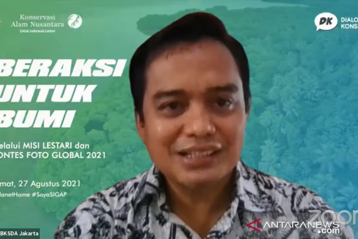 BKSDA: Masyarakat harus mulai lebih memperhatikan hutan mangrove