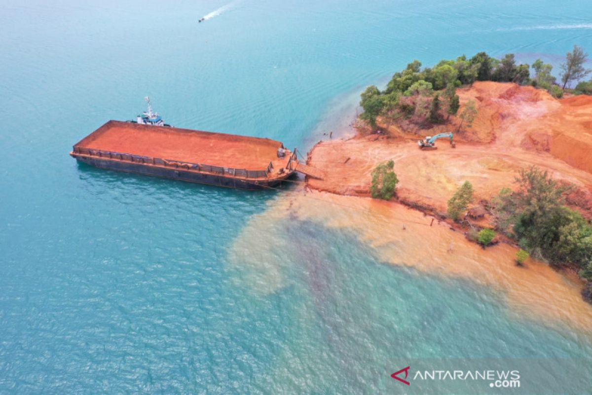 Ini dampak limbah bauksit pada satwa laut