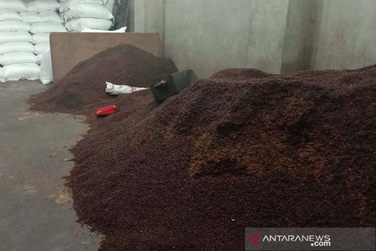 Ambon clove per-kg prices fluctuate to Rp90 thousand at Aug-end