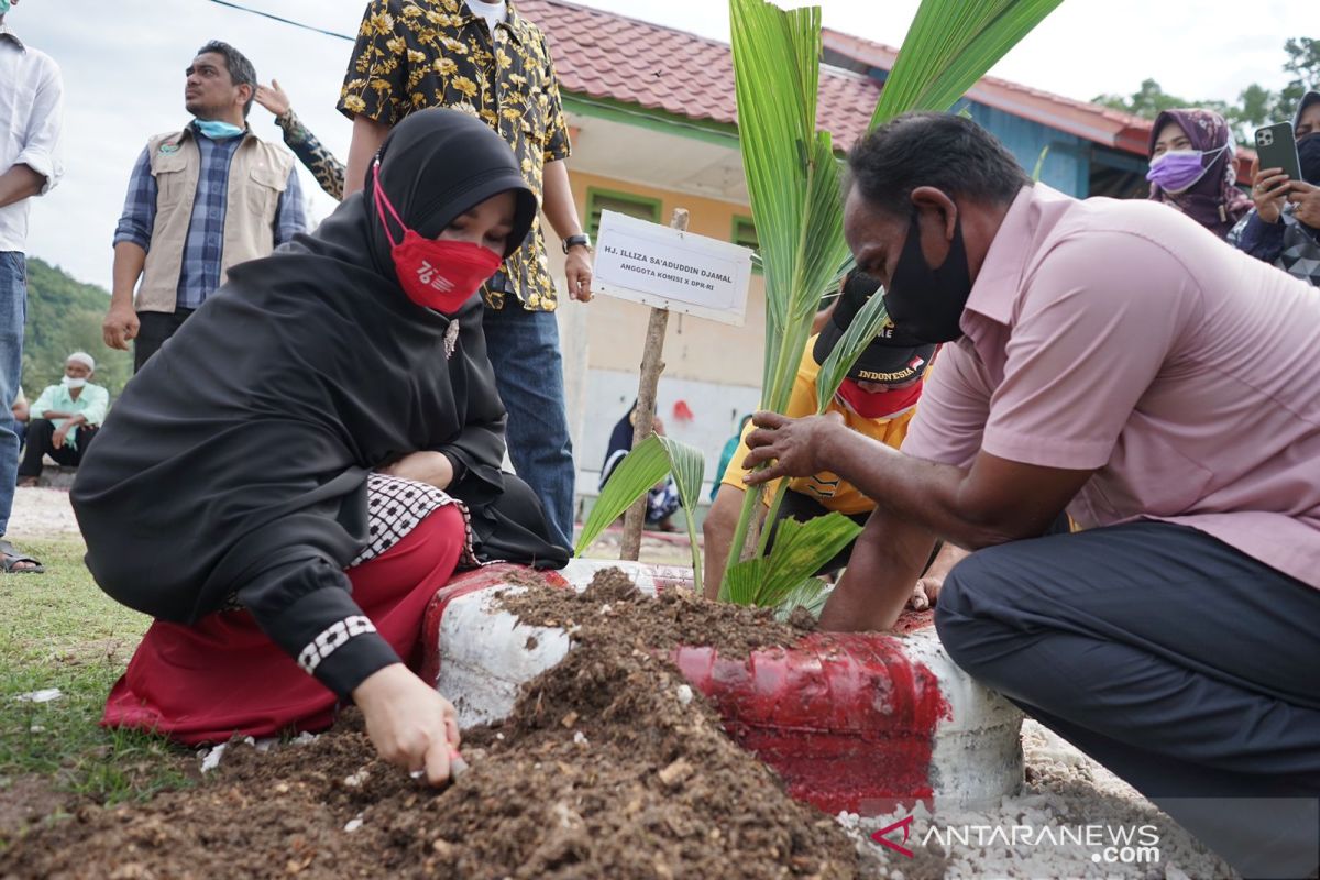 DPR: Komoditas buah kelapa di Pulo Aceh potensial dongkrak ekonomi warga