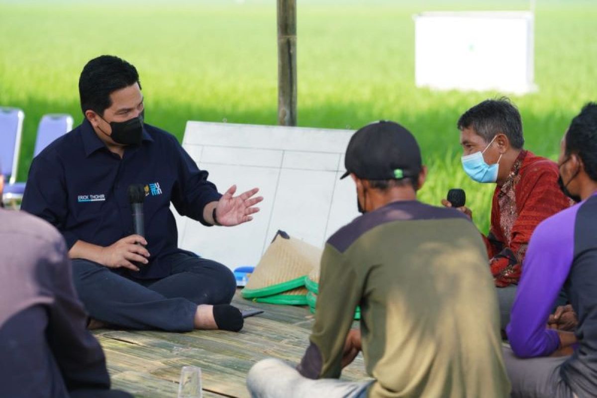 Erick minta BUMN bantu petani agar makmur dengan solusi pertanian