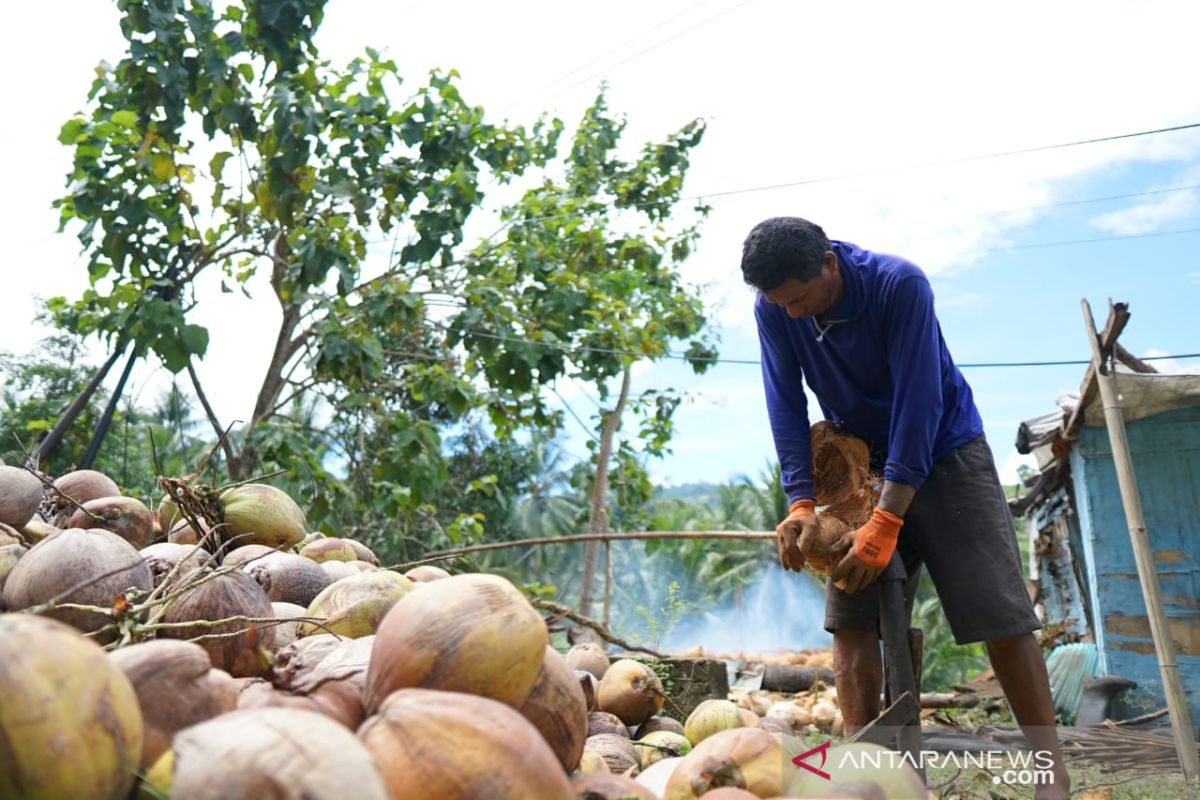 Perajin kopra di Gorontalo Utara tetap jaga produksi