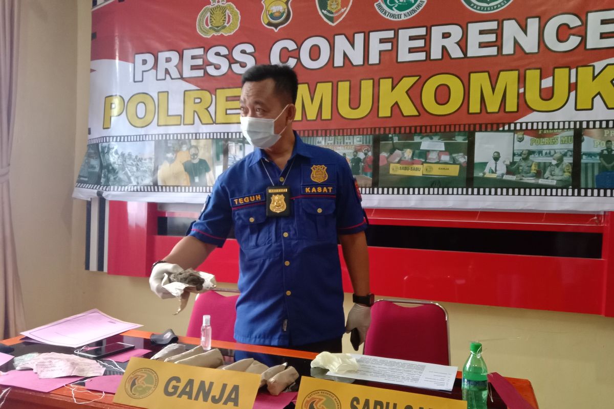 Polres Mukomuko selidiki identitas pengedar ganja