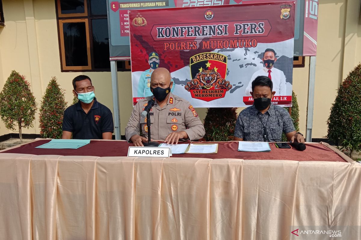 Polres Mukomuko kembangkan penangkapan pelaku pembalakan liar