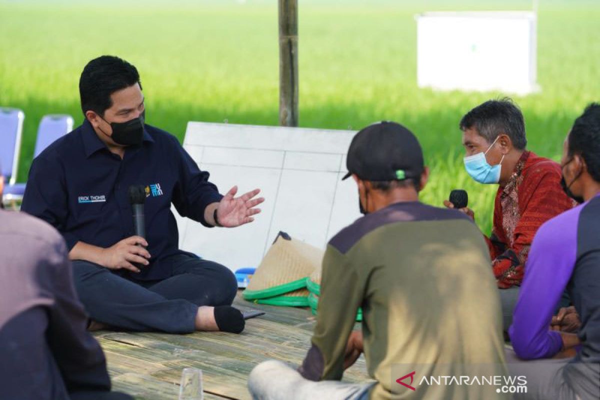 Erick minta BUMN bantu petani agar makmur dengan solusi pertanian