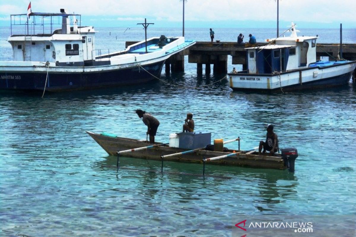 DKP Papua: Perda Zonasi Wilayah Pesisir membuka peluang kerja daerah