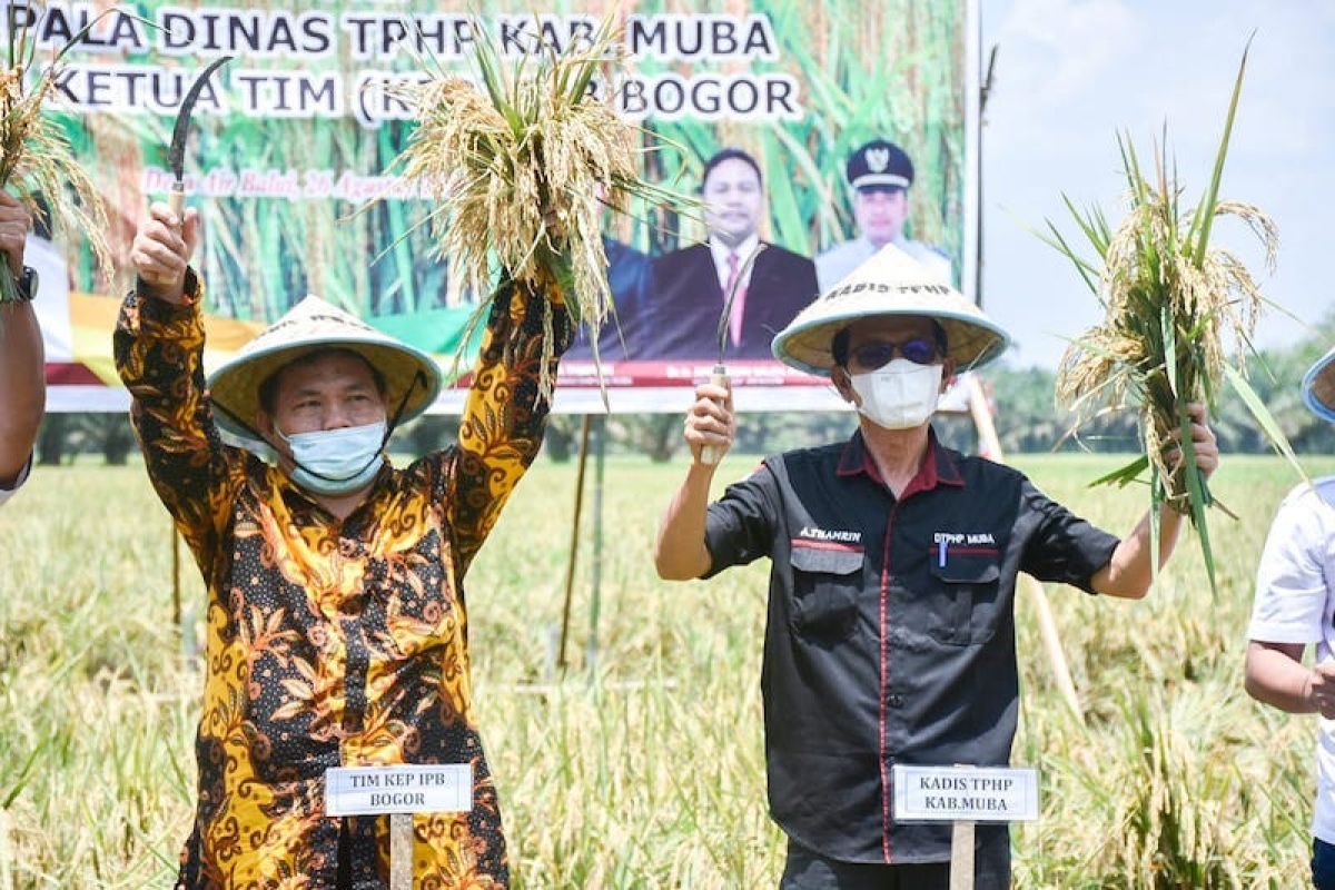 Peneliti IPB bantu Muba dalam penerapan teknologi pertanian