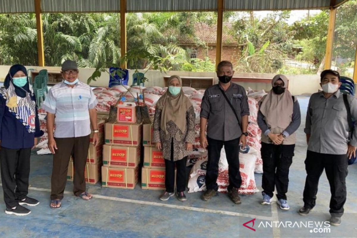 Disbun Kaltim remajakan kebun karet  100 hektare di Paser