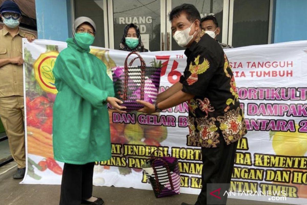 DPTPH Kaltim bantu paket sayur dan buah  untuk puskesmas di Samarinda