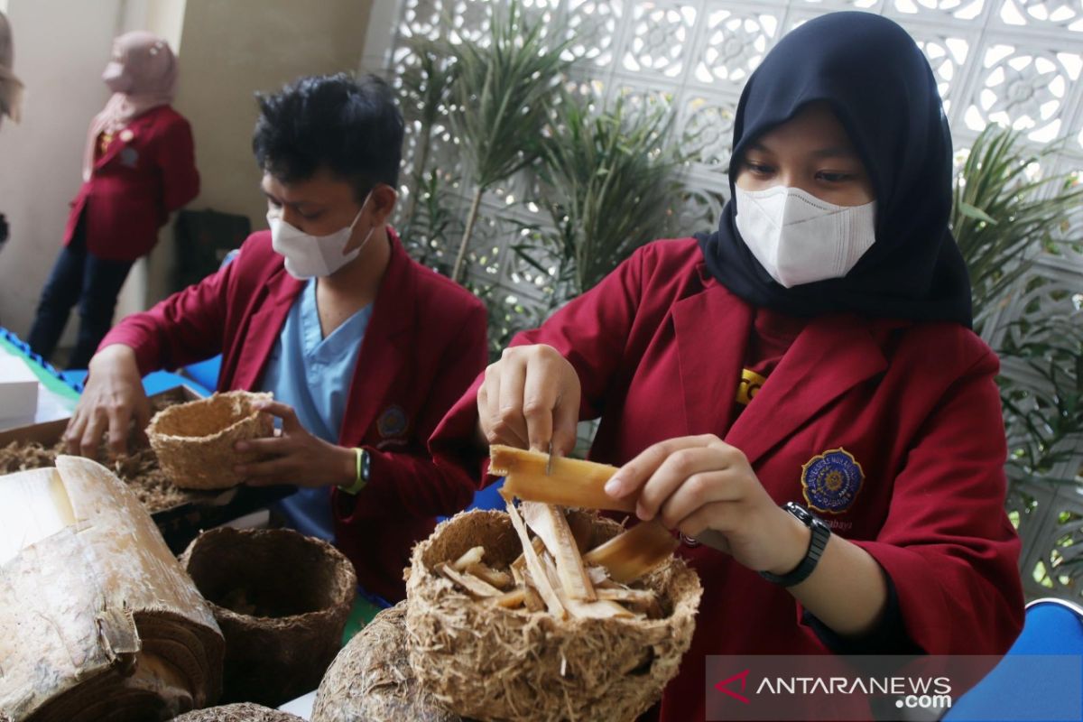 Mahasiswa UMSurabaya olah limbah pelepah pisang jadi pot ramah lingkungan