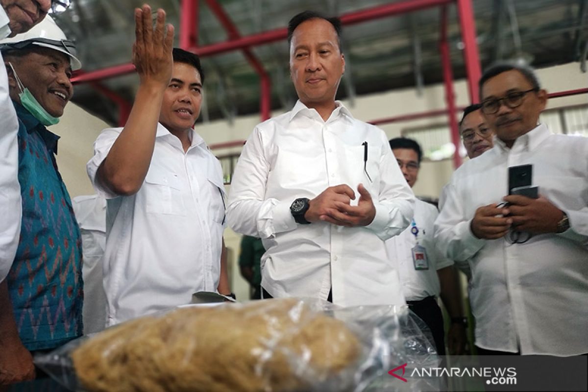 Industry Ministry's plan to optimize downstreaming of seaweed industry