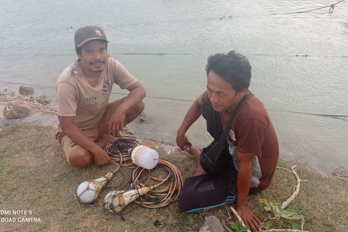 Pendapatan nelayan benur di Kabupaten Lebak capai jutaan rupiah