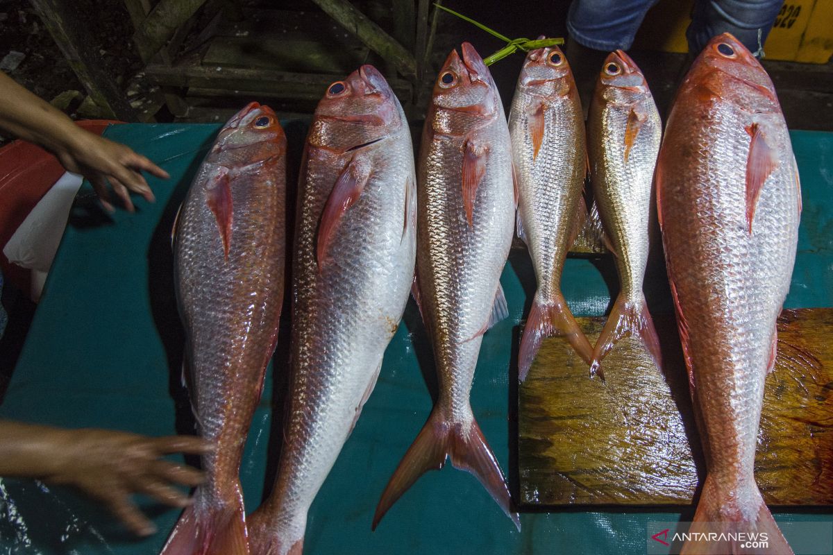 KKP-BKPM bidik investasi sektor kelautan dan perikanan di Maluku, dorong investasi