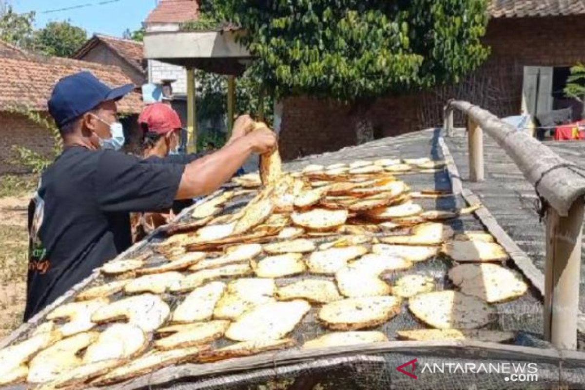 Petani Madiun berharap ada patokan harga porang