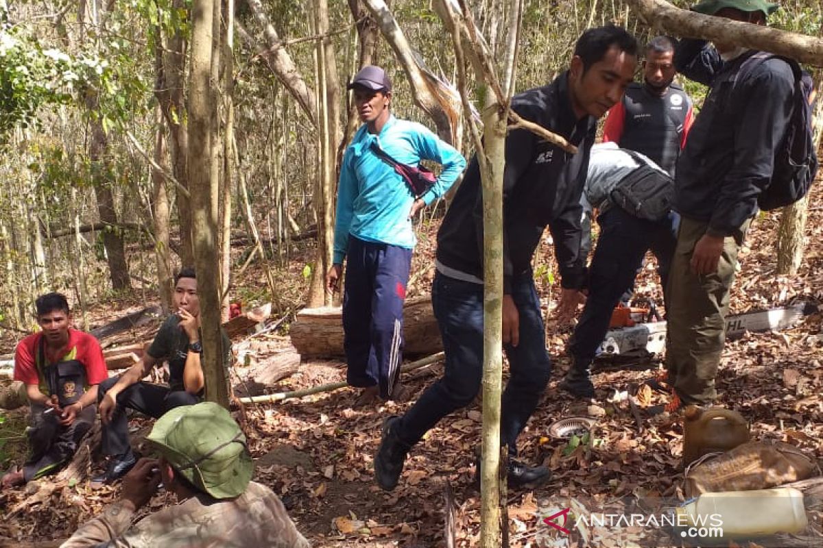 Polhut menangkap empat terduga pembalak liar di Hutan Rentung Sebokas