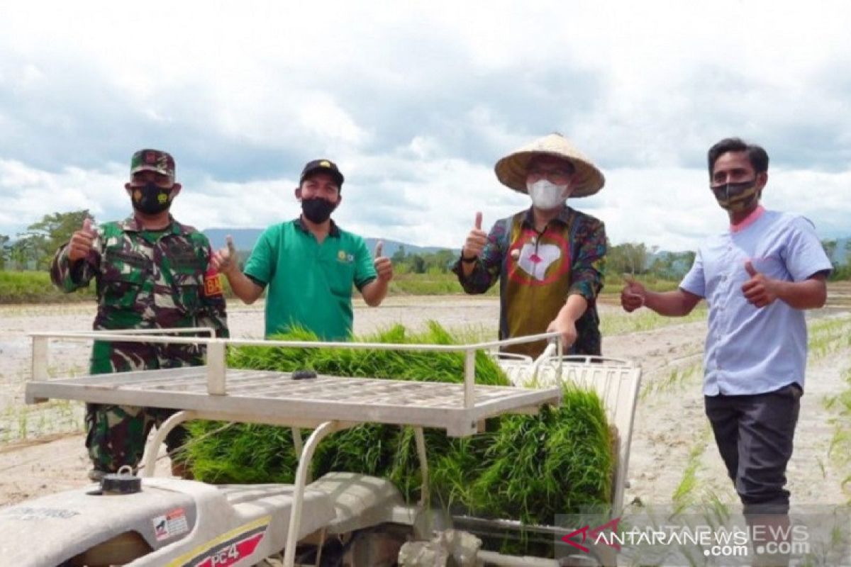 Pemerintah Kota Kendari kembangkan padi organik 450 hektare