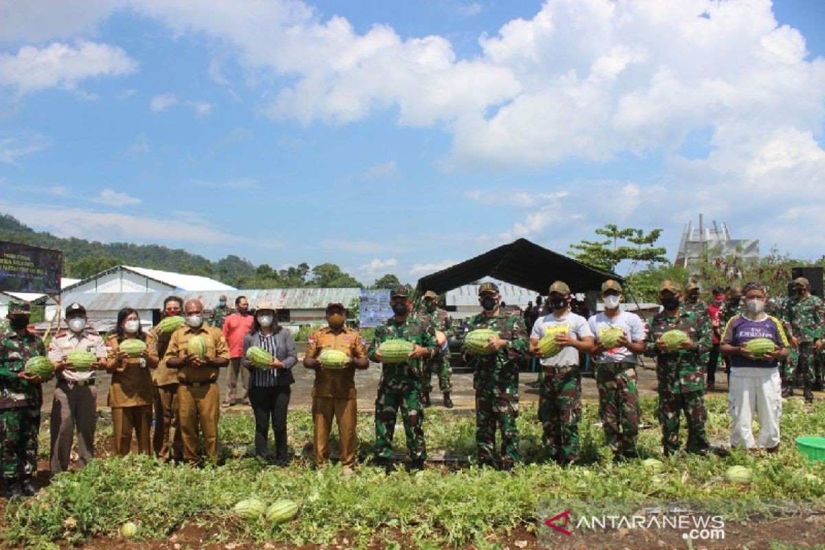 Satgas TNI bersama warga di perbatasan panen sayuran-buah