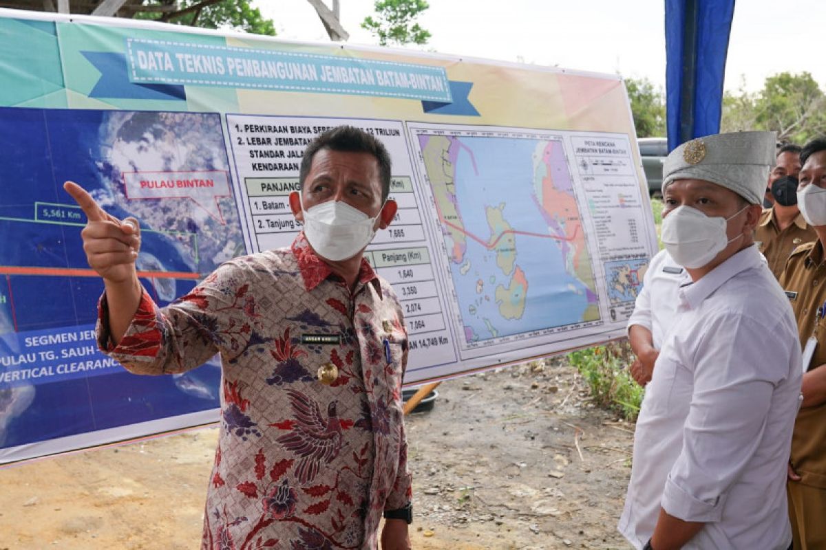 Gubernur Ansar dan Wamen ATR tinjau landing point jembatan Batam-Bintan