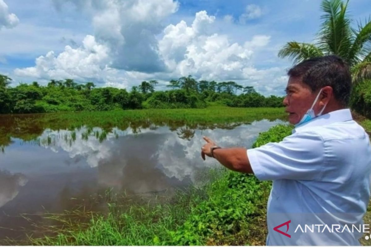 Kawasan Tanjung Buyu Memiliki Potensi Untuk Pertanian