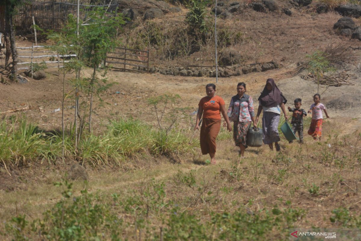 Kemarau landa  85,1 persen wilayah Indonesia, ini akibatnya