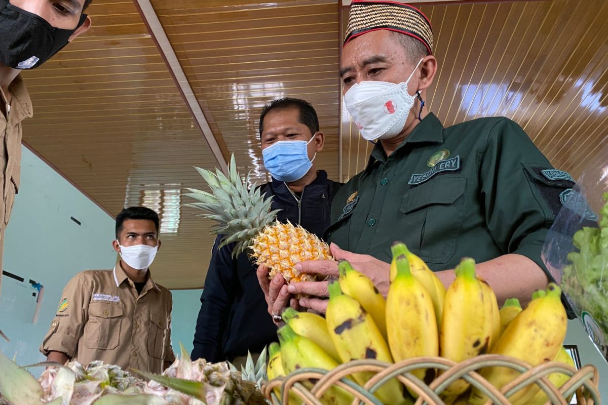 Petani milenial di Kalteng bagian masa depan ketahanan pangan Indonesia