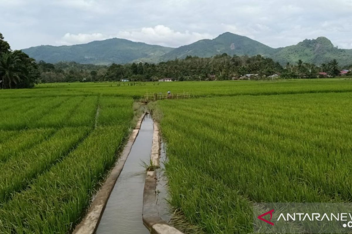 Pemprov Kalbar siapkan antisipasi risiko La Nina terhadap produksi pangan