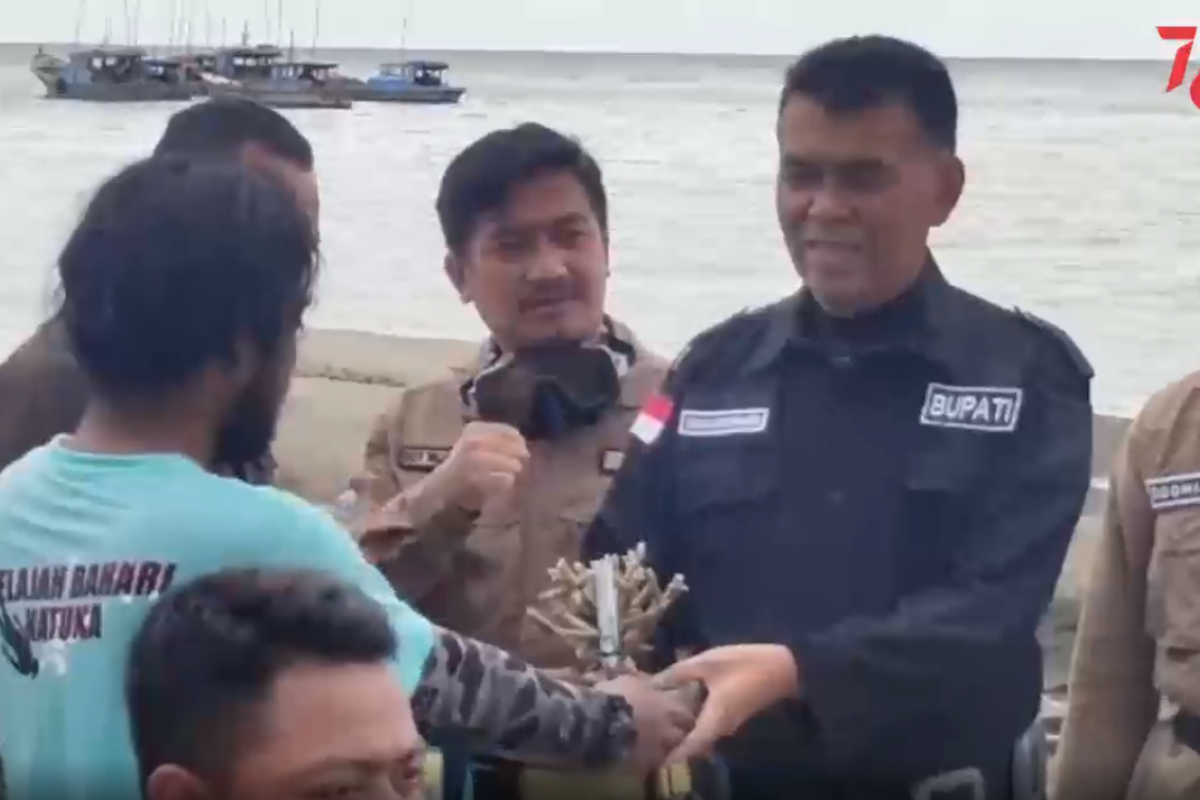 Penanaman Karang di dasar laut Natuna