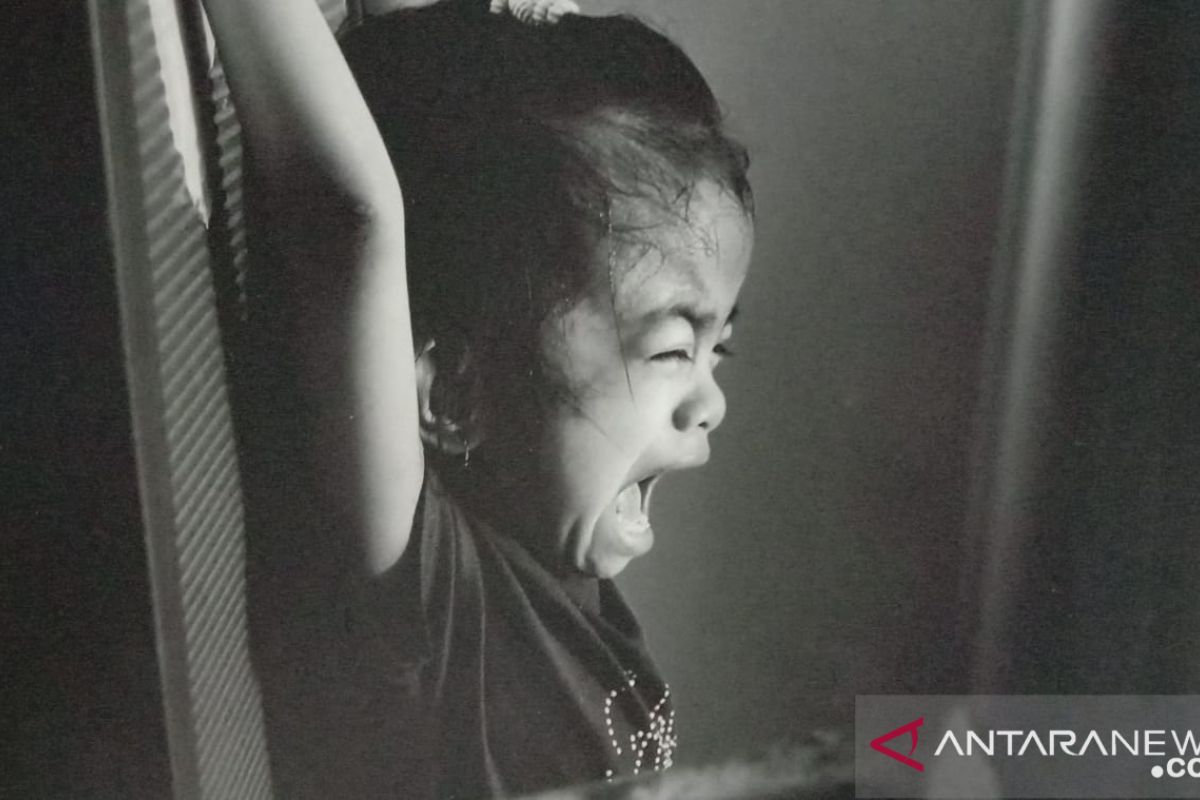 Dharma Wanita imbau optimalisasi selter tekan kasus kekerasan anak dan perempuan