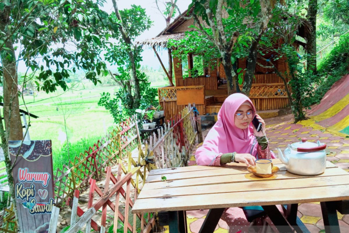 Wisata kuliner dan warung kopi di tengah sawah diminati