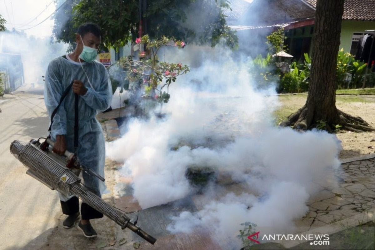 Tiga daerah di Jabar tertinggi kasus dengue nasional