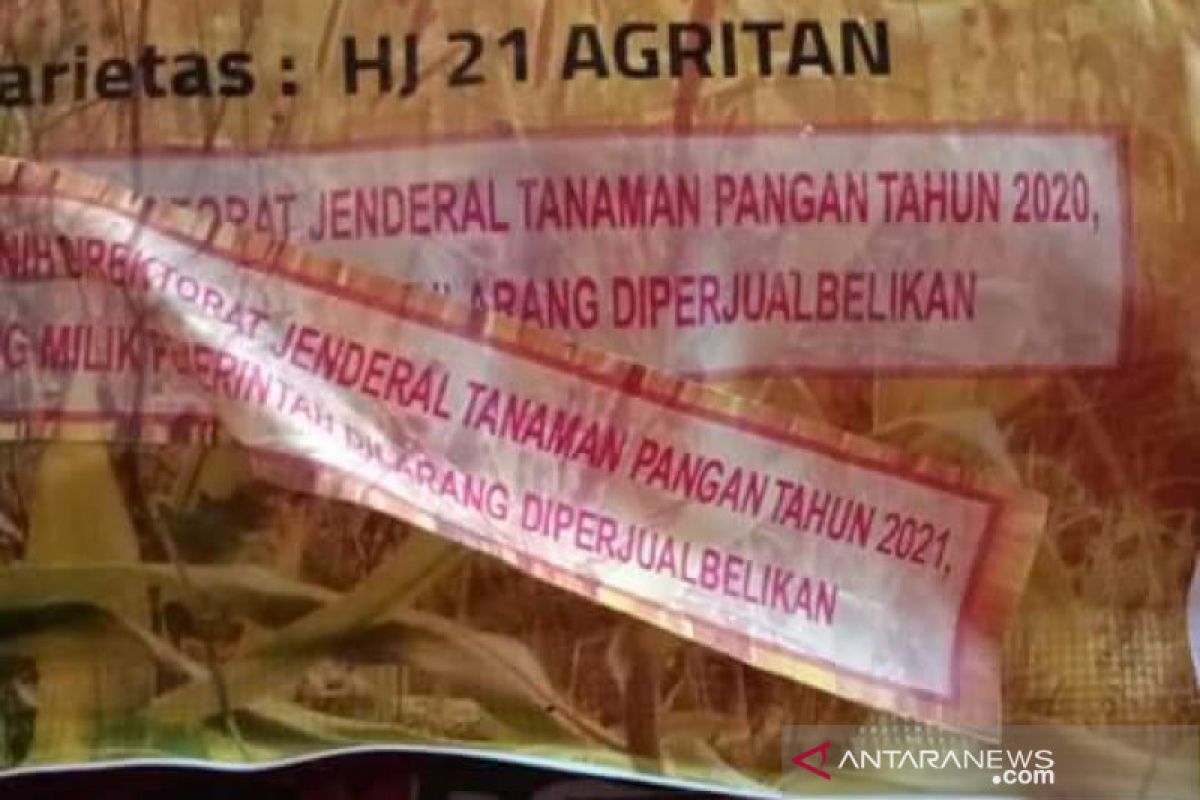 Benih jagung bantuan pemerintah di Bima diduga kedaluwarsa