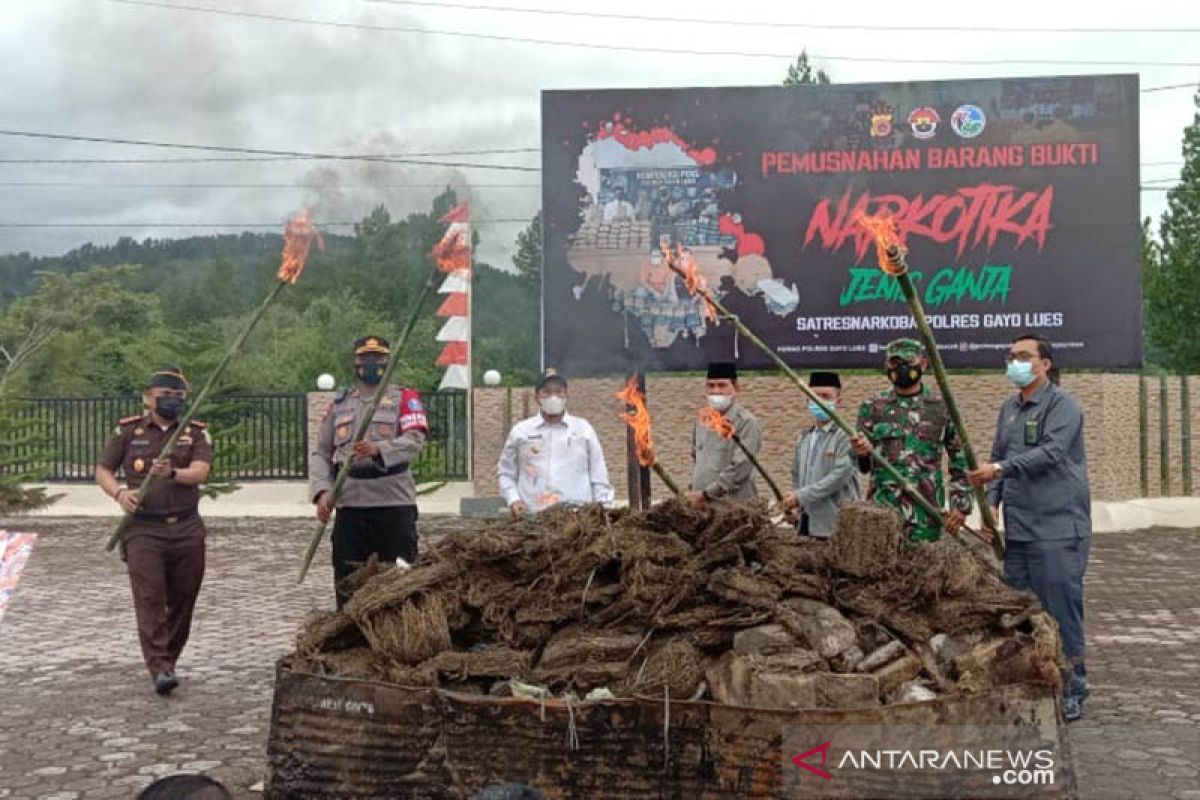 Polres Gayo Lues Aceh memusnahkan 305 kilogram ganja