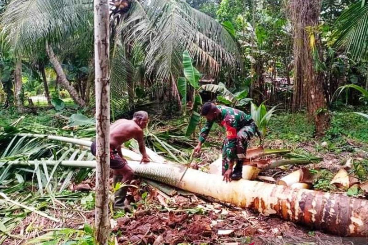 Aparat TNI bantu warga Karmon Biak mengolah tanaman sagu