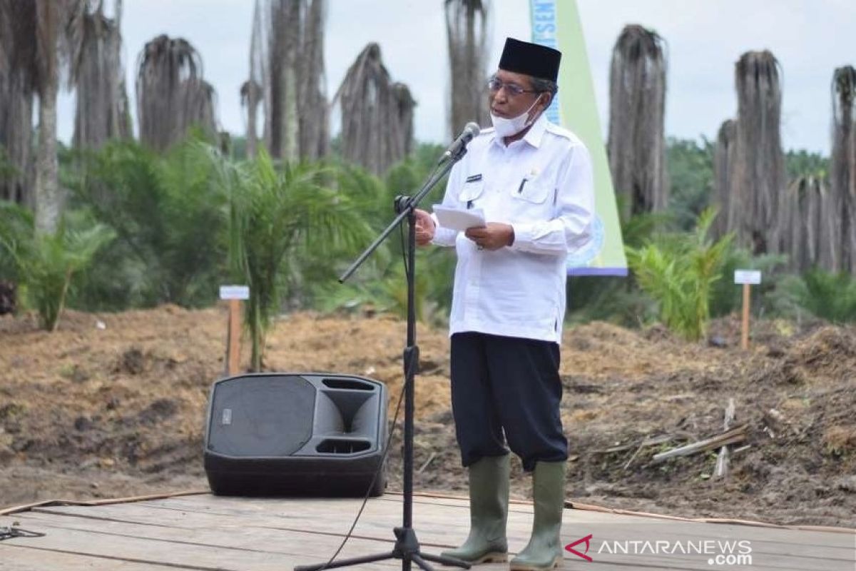 112 ribu hektar kebun kelapa sawit di Jambi perlu diremajakan