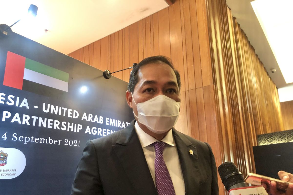 IUAE-CEPA to improve halal, e-commerce sector: Lutfi