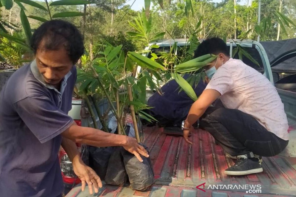 Rejang Lebong terima bantuan tanaman untuk antisipasi bencana alam