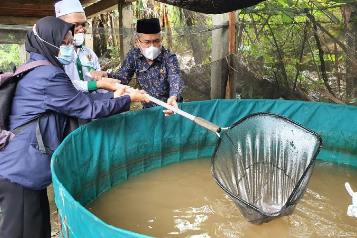 Panen lele bantuan BAZNAS Palas, Sekda: Saya terharu dan bersyukur