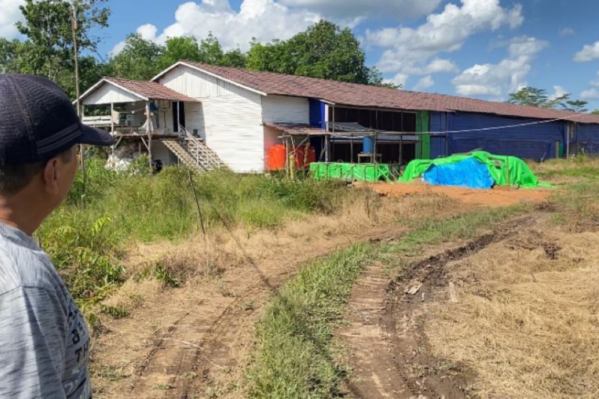 Peternakan ayam modern close house Rasau Jaya maksimalkan penggunaan listrik