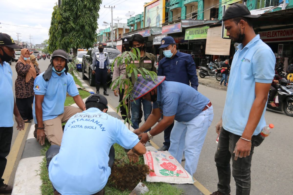 Rawat tumbuhan di Pidie, Abusyik racik pupuk alami