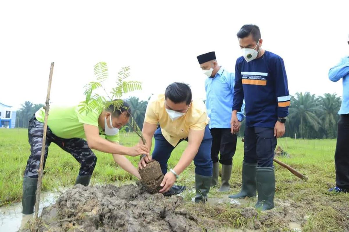 HUT ke-44 BKPRMI, Bupati Labura tanam pohon di alun alun