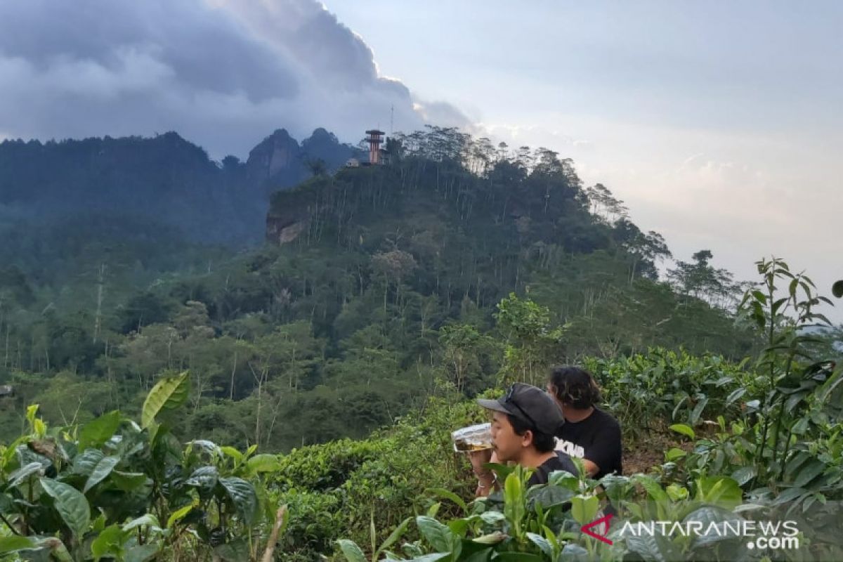 Peneliti jelaskan penyebab fenomena yang terjadi di langit Menoreh