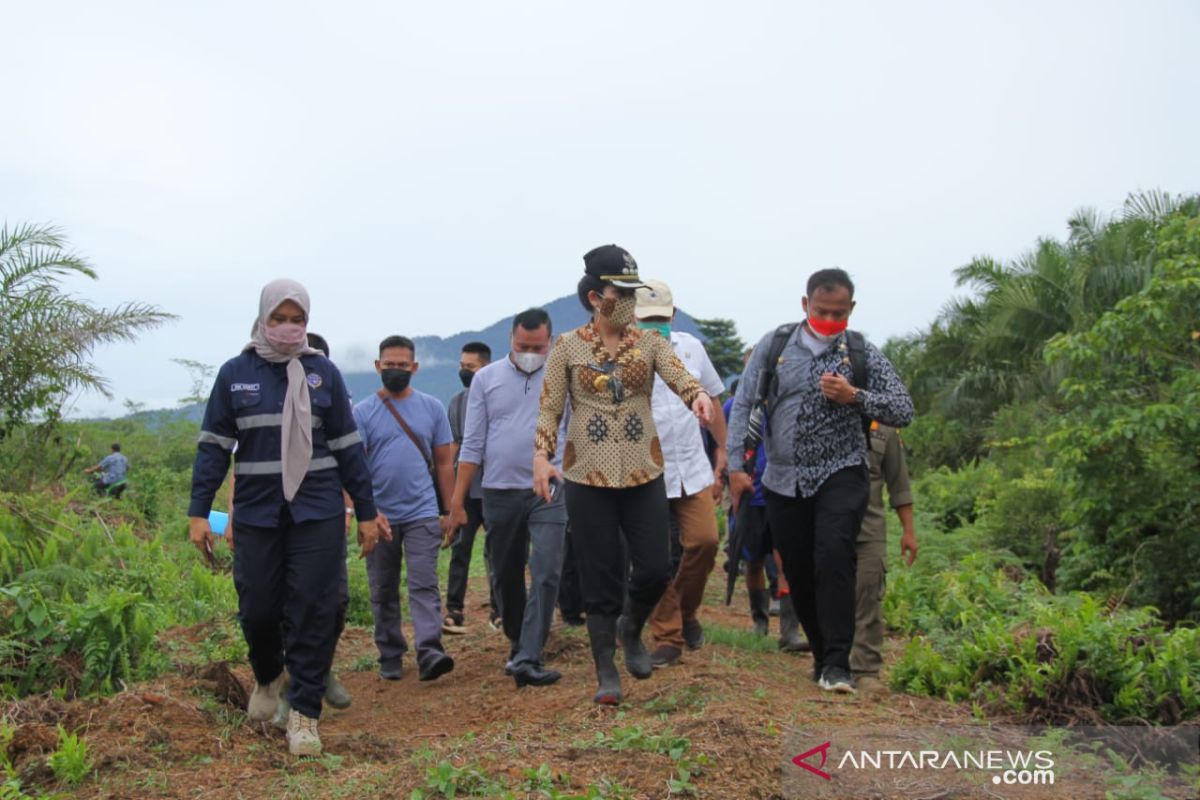 Wali Kota Singkawang minta tambahan anggaran dari Pusat untuk bangun bandara