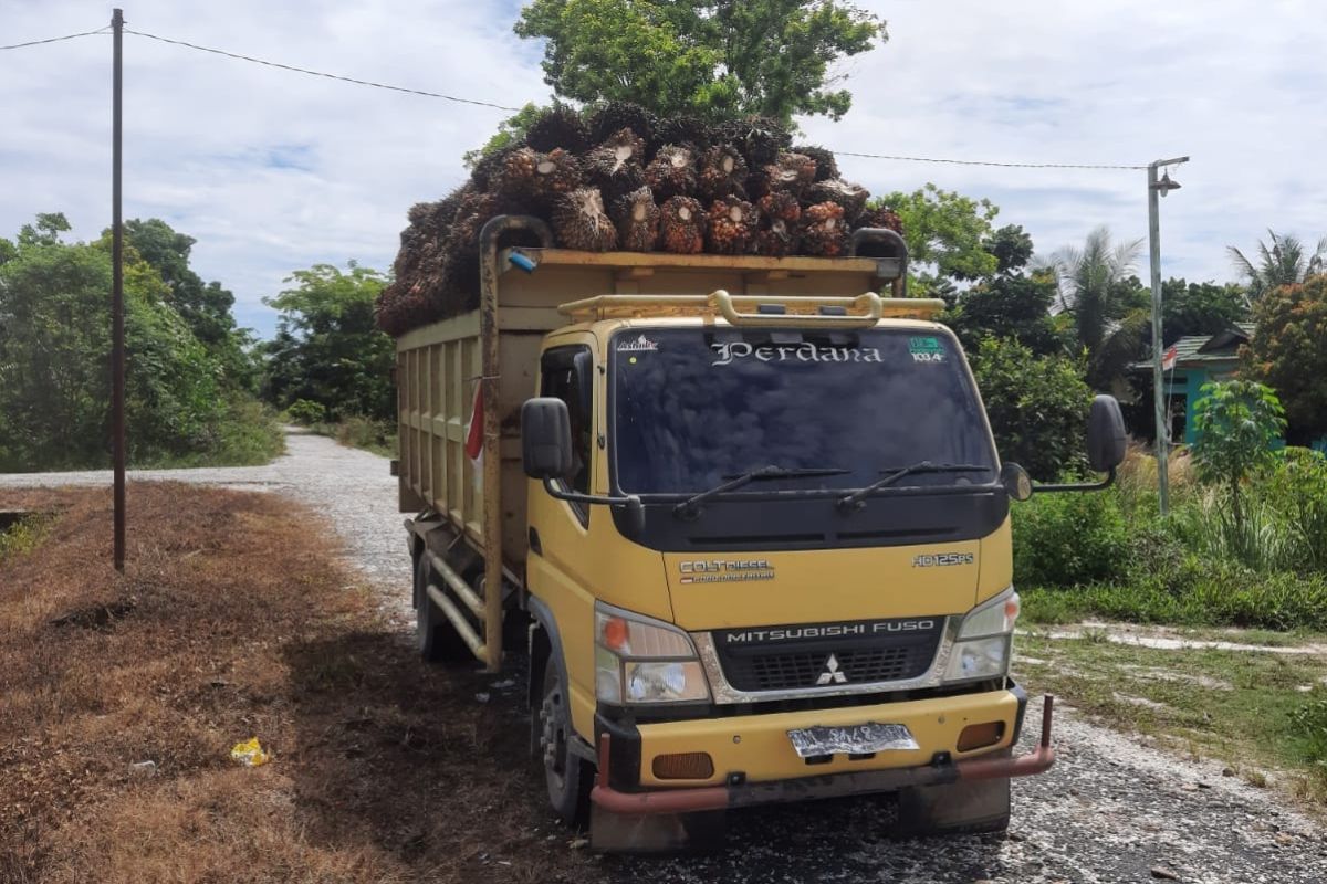 Petani di Kampar tangkap truk bawa sawit