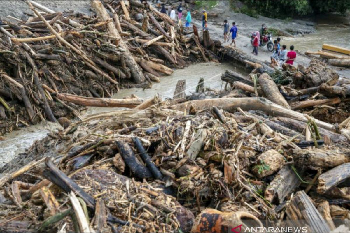 Warga Sigi diminta lakukan penghijauan cegah banjir bandang terulang