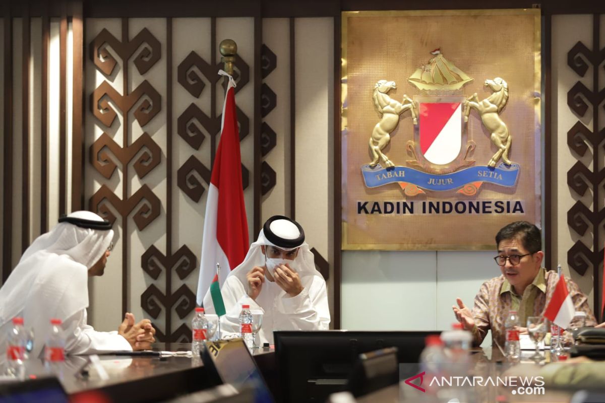 Di Hadapan Delegasi UAE Arsjad Rasjid Paparkan Pentingnya Peranan UMKM