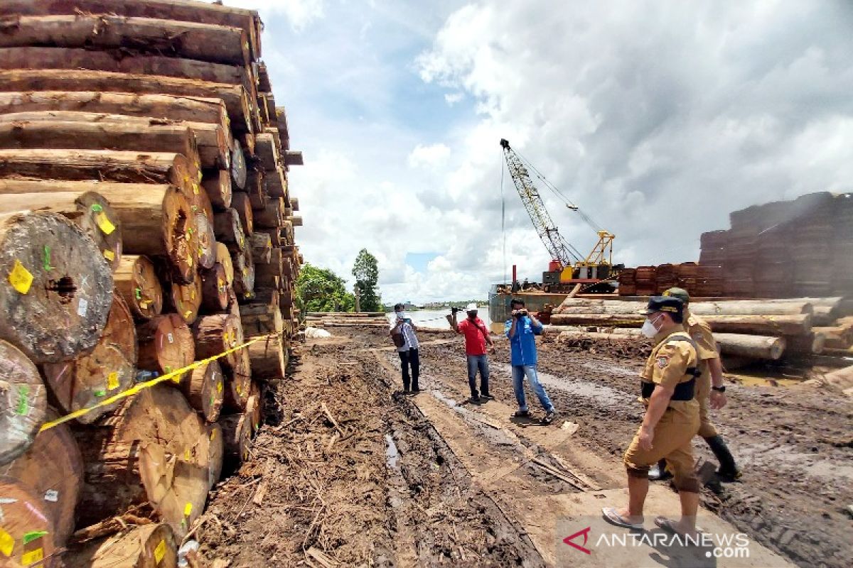 Ribuan kayu log diduga ilegal di Kalteng disegel, Dishut cek kejelasan perizinan