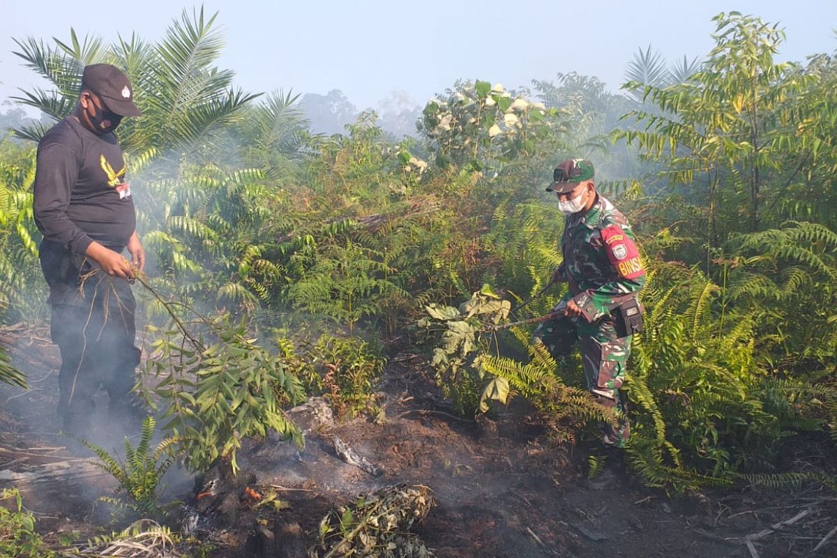 Lahan gambut di Aceh Jaya terbakar
