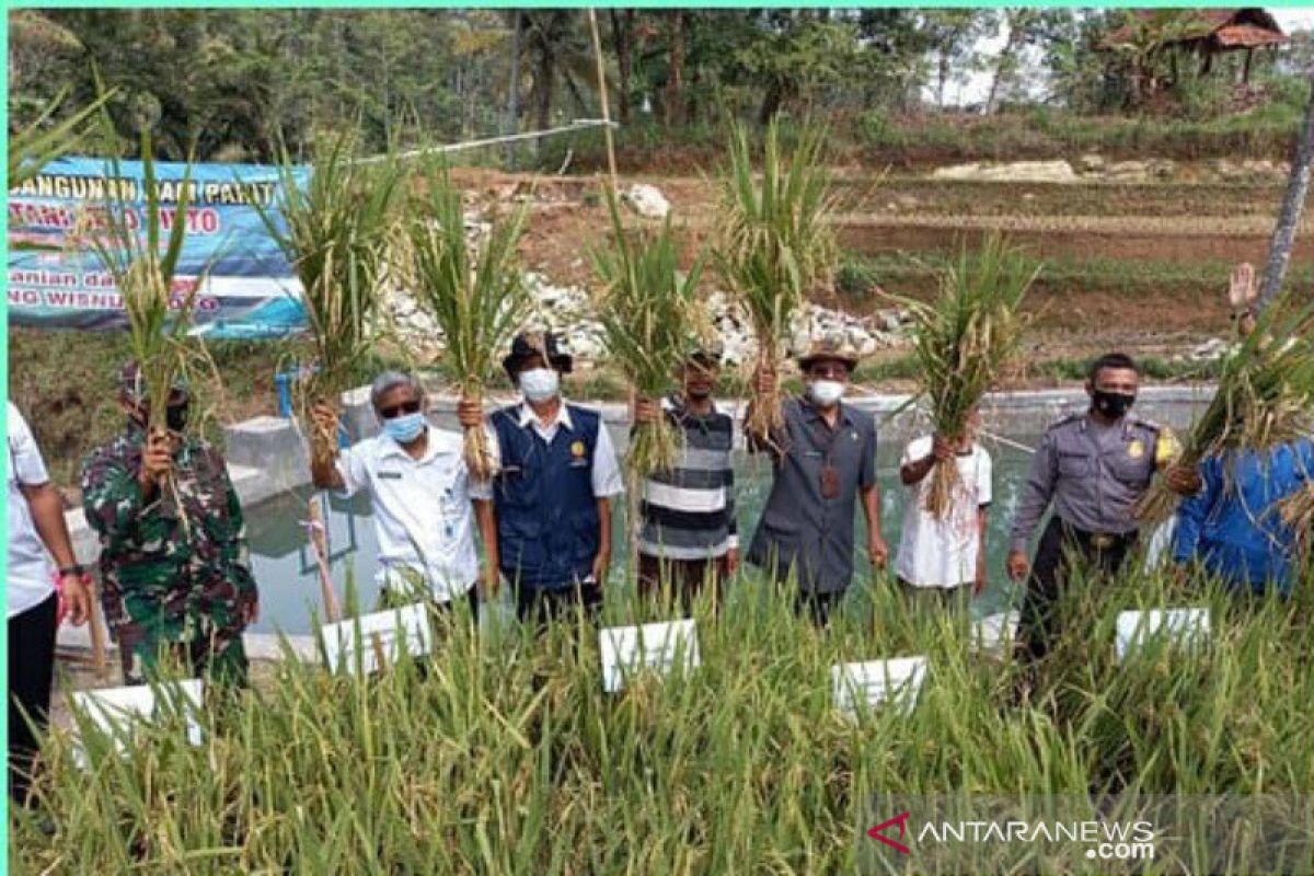 Pemkab Gunung Kidul mengoptimalkan lahan kering naikkan produksi pertanian